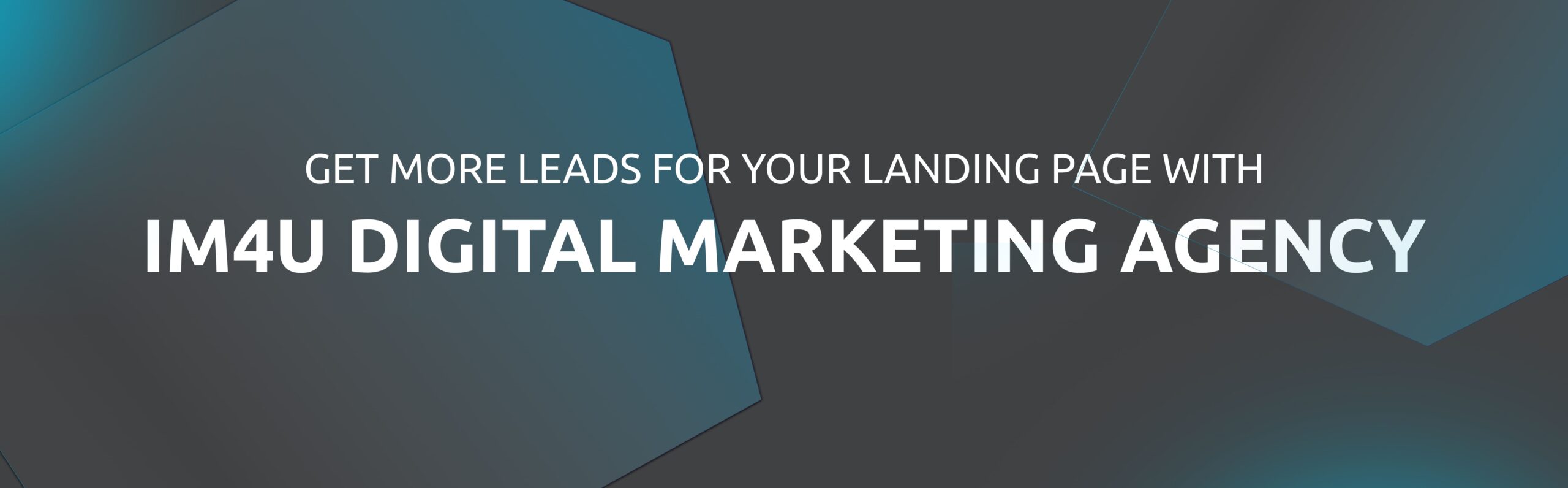 image with text "get more leads for your landing page"
